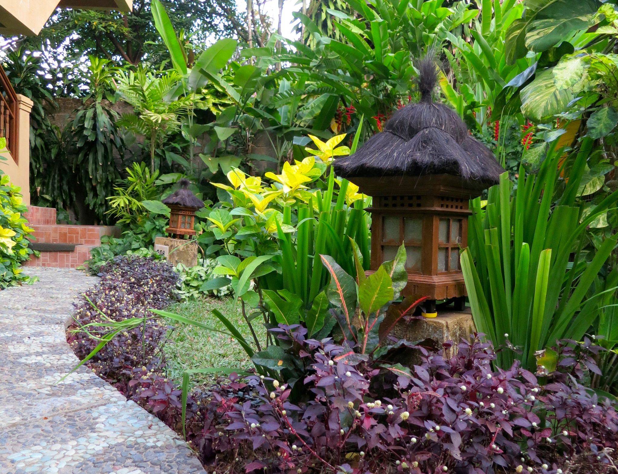 24 Tropical Garden Border Plants Ideas You Must Look SharonSable