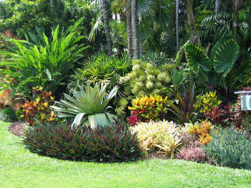 Tropical Foliage Border Mounts Botanical Garden