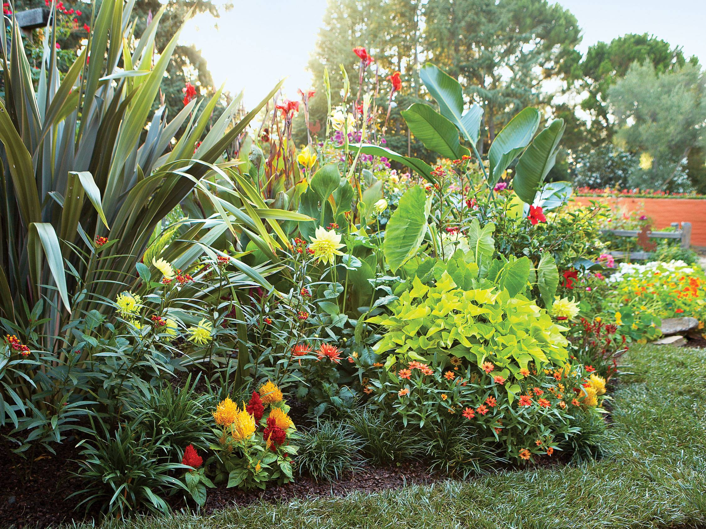 Front Yard Landscaping Design