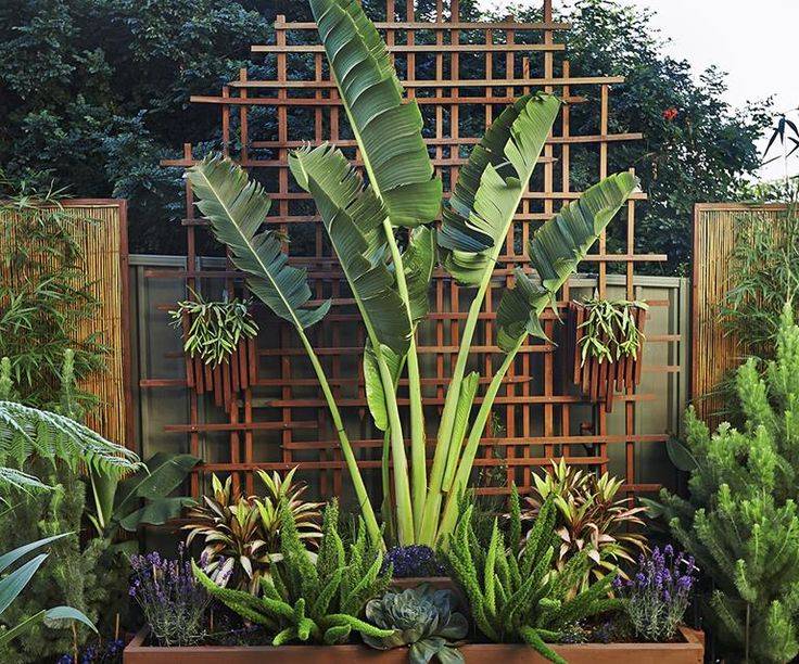 Controlled Yet Lush And Wild Looking