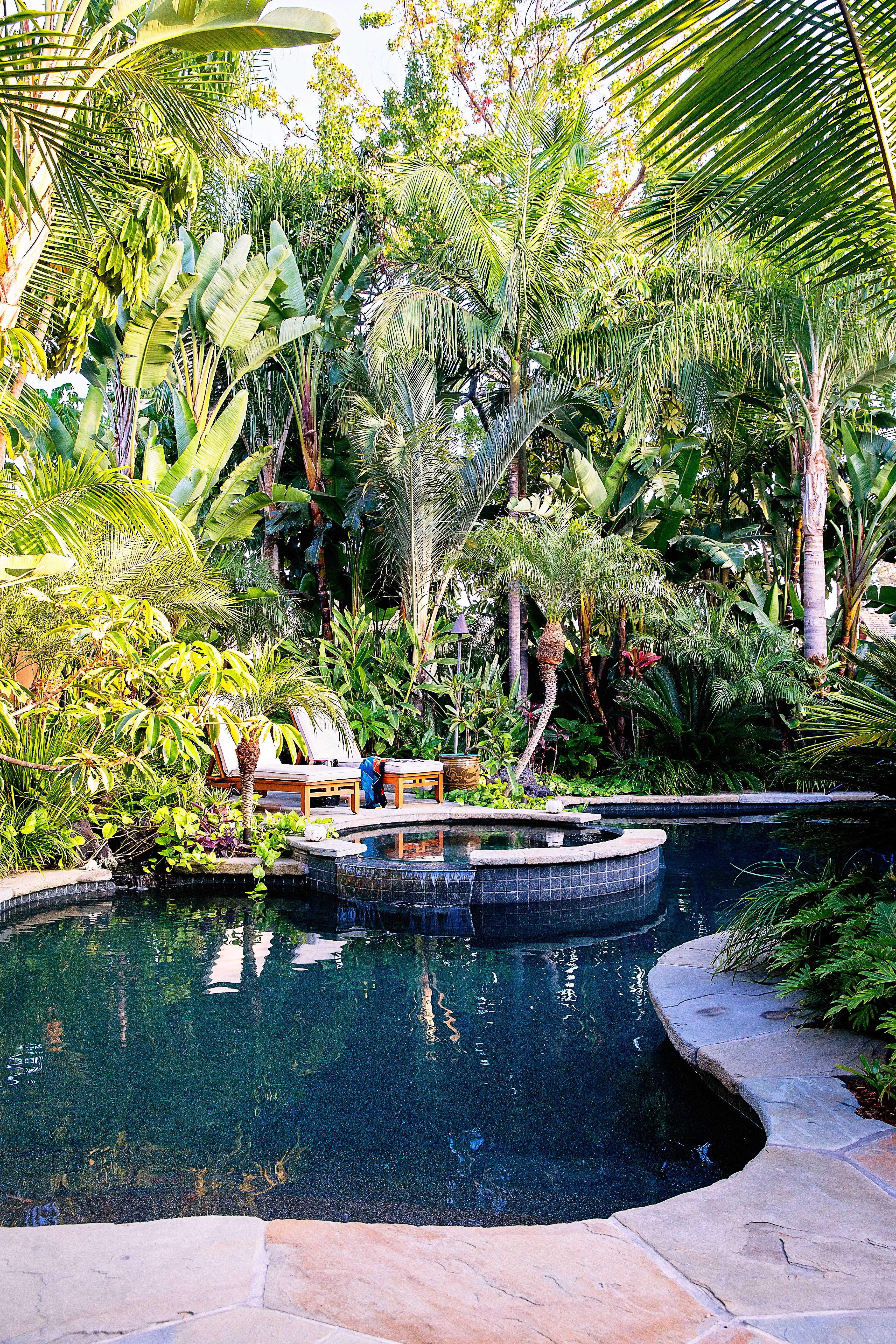 Full And Lush Tropical Entry Tropical Garden