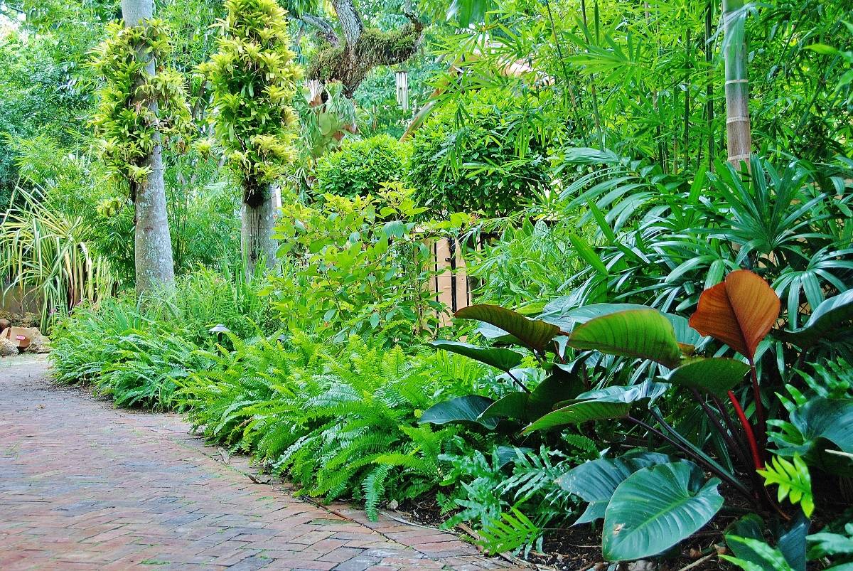 A Lush Palmfilled Garden