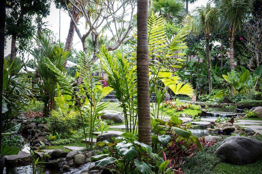 Lush Tropical Garden Hgtv