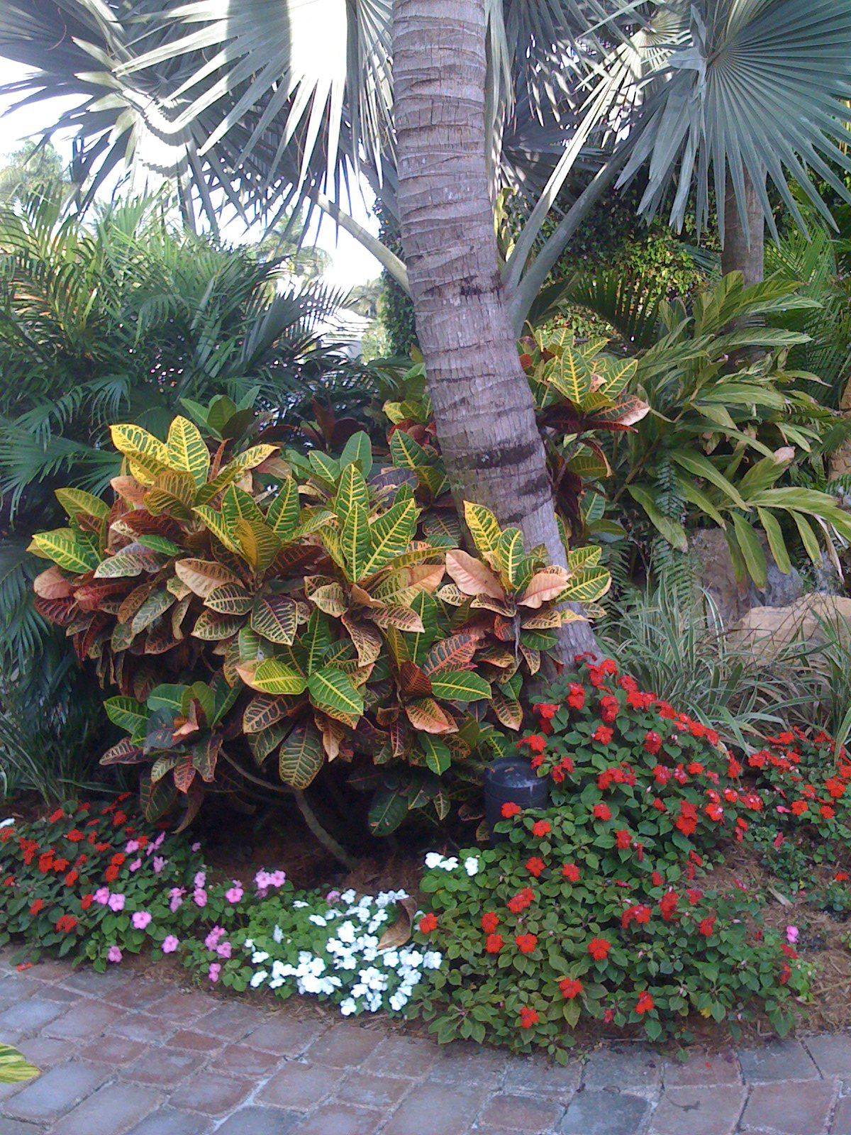 Tropical Landscaping Design Ideas Hgtv