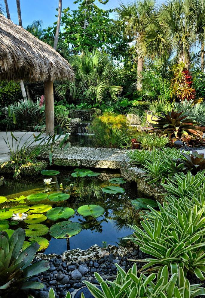 Warm Tropical Backyard Landscaping Ideas Https