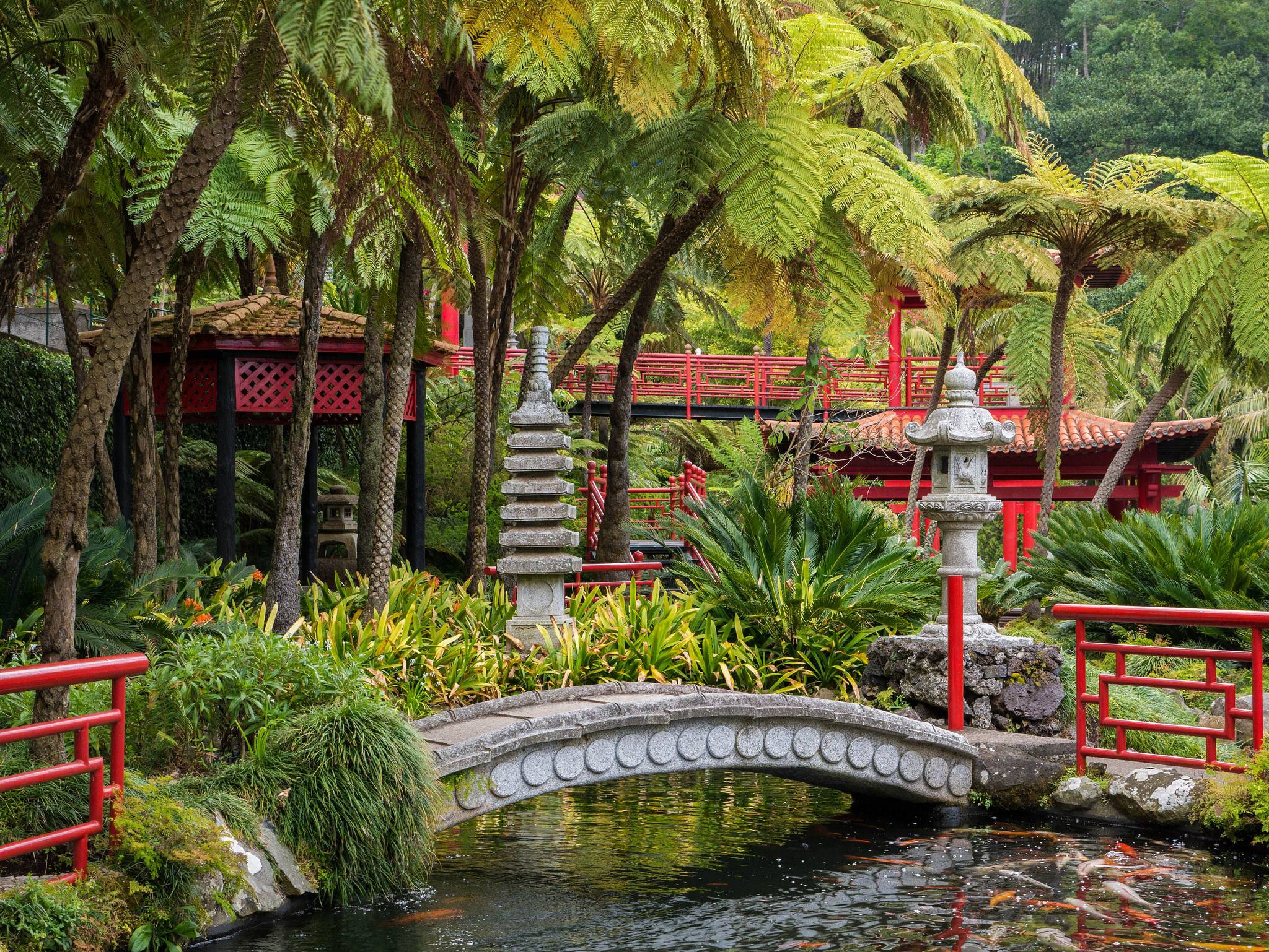 Tropical Flower Garden Design Ideas