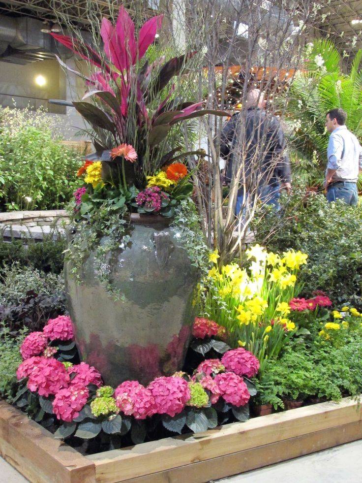 Plantsflowersflorida Plants