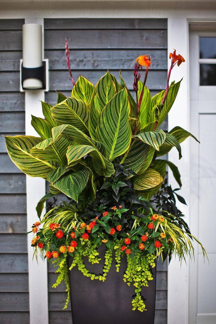 Container Gardening