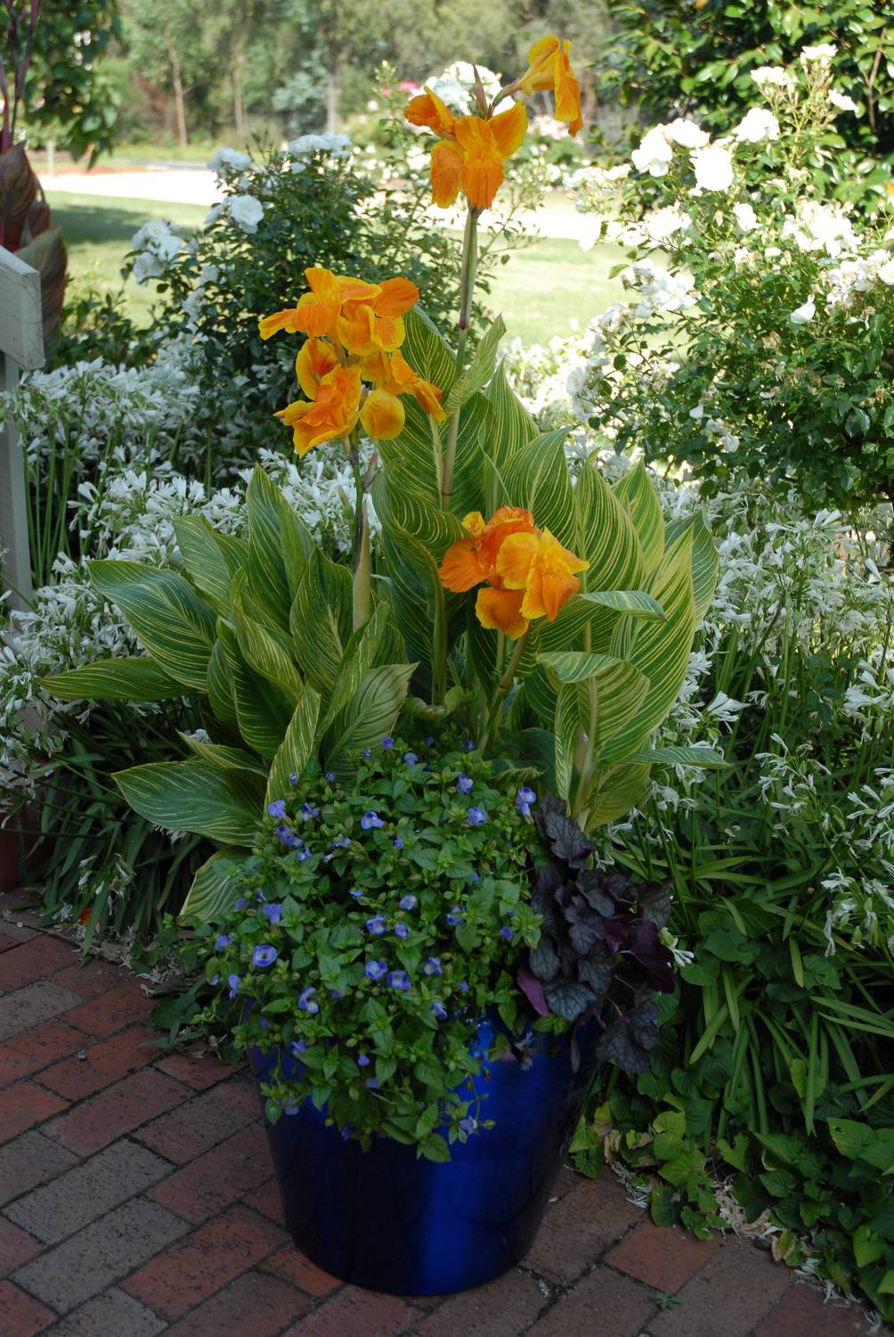 Container Gardening