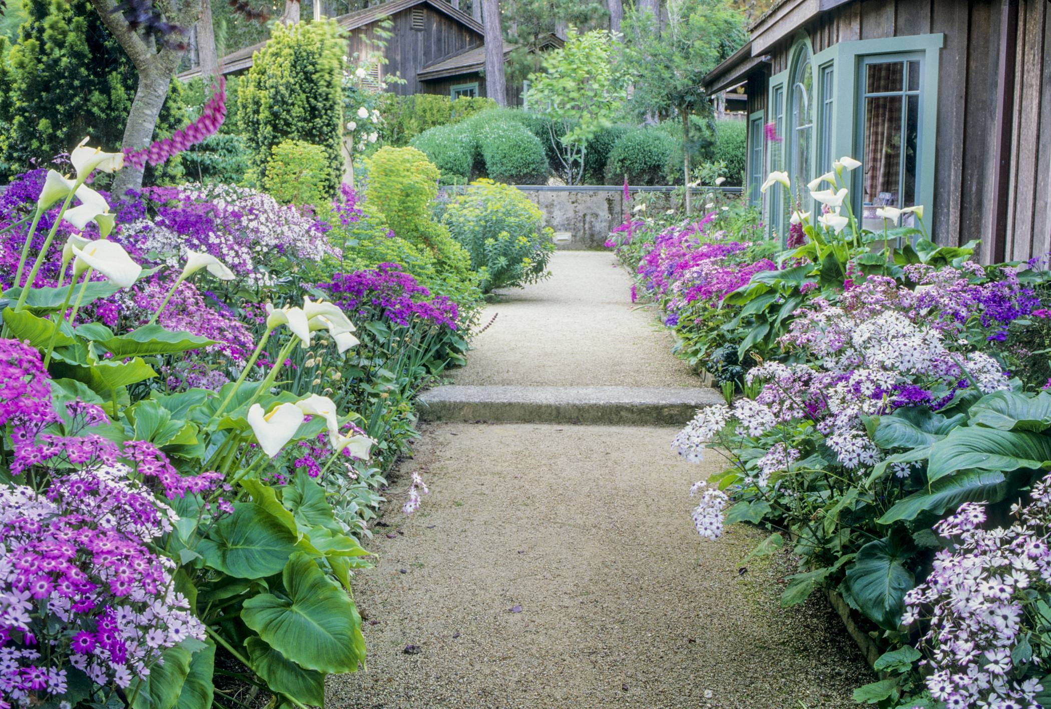 Peony Garden Designs