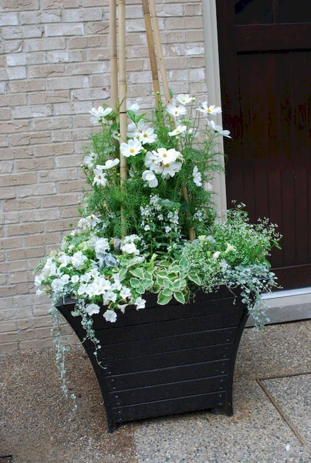 Creamy White Flowers