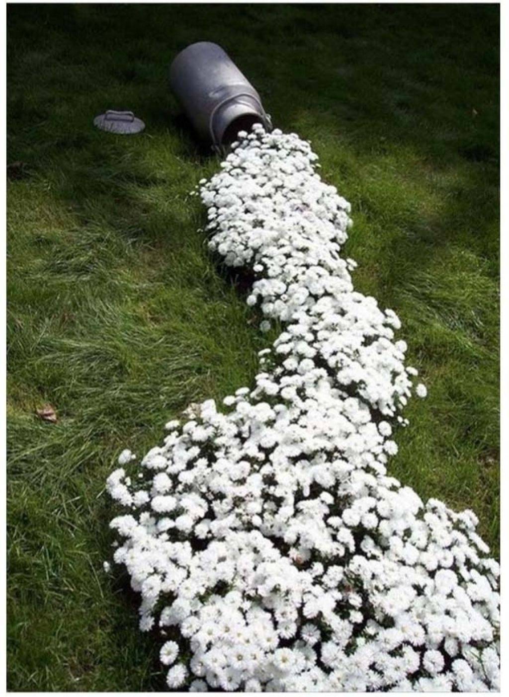 White Picket Fence Garden Ideas