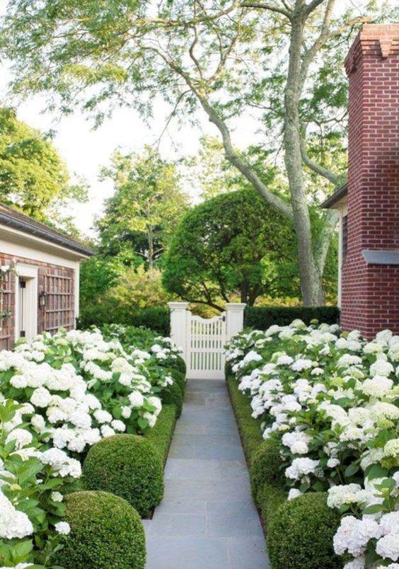 Awesome White Garden Ideas