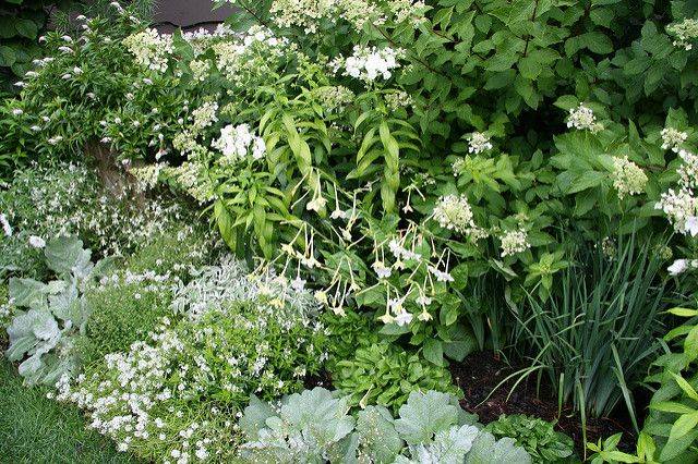 Container Gardening Flowers
