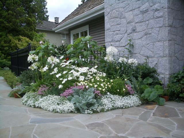 A White Colored Garden