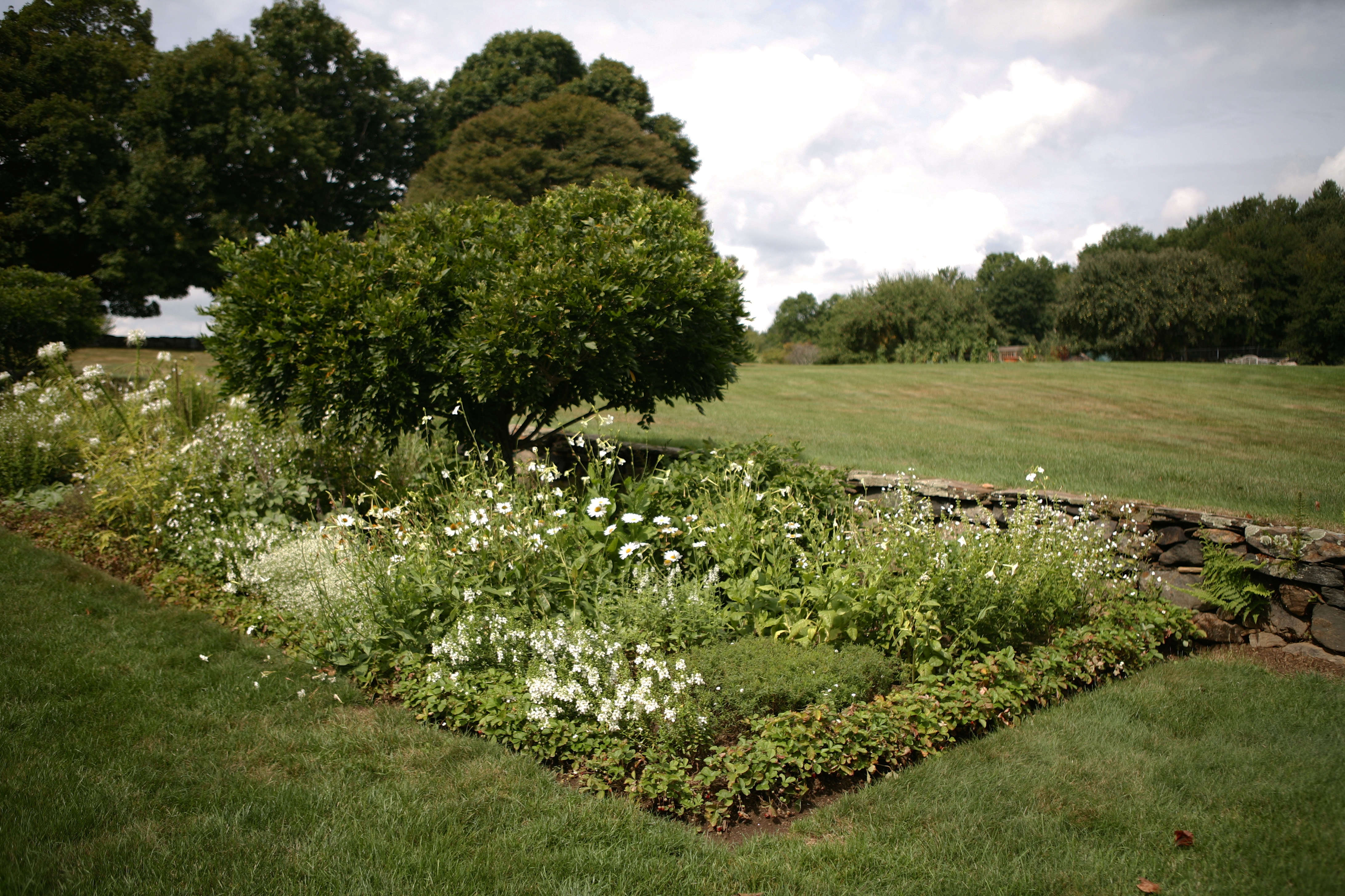 Amazing Easy Diy Flower Beds Ideas