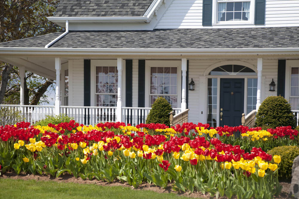 Colour Themed Spring Planters