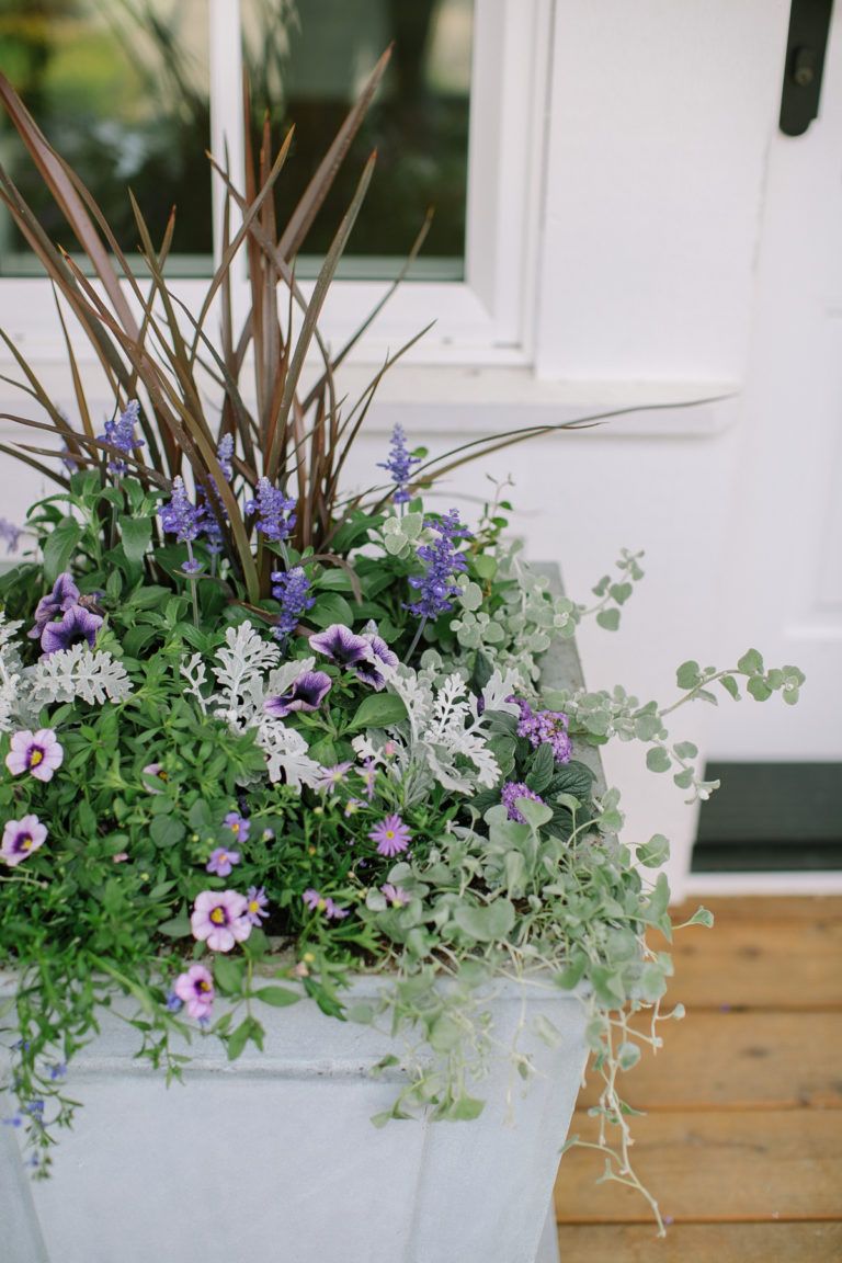 Shrublandscaping White Flowering