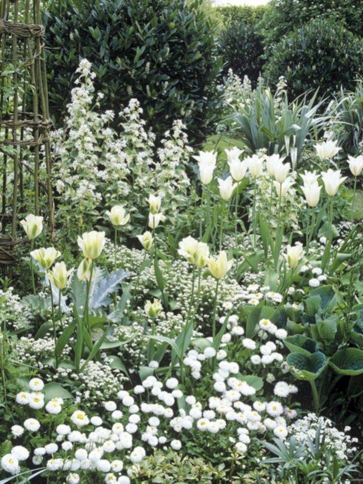 All White Flower Garden Ideas