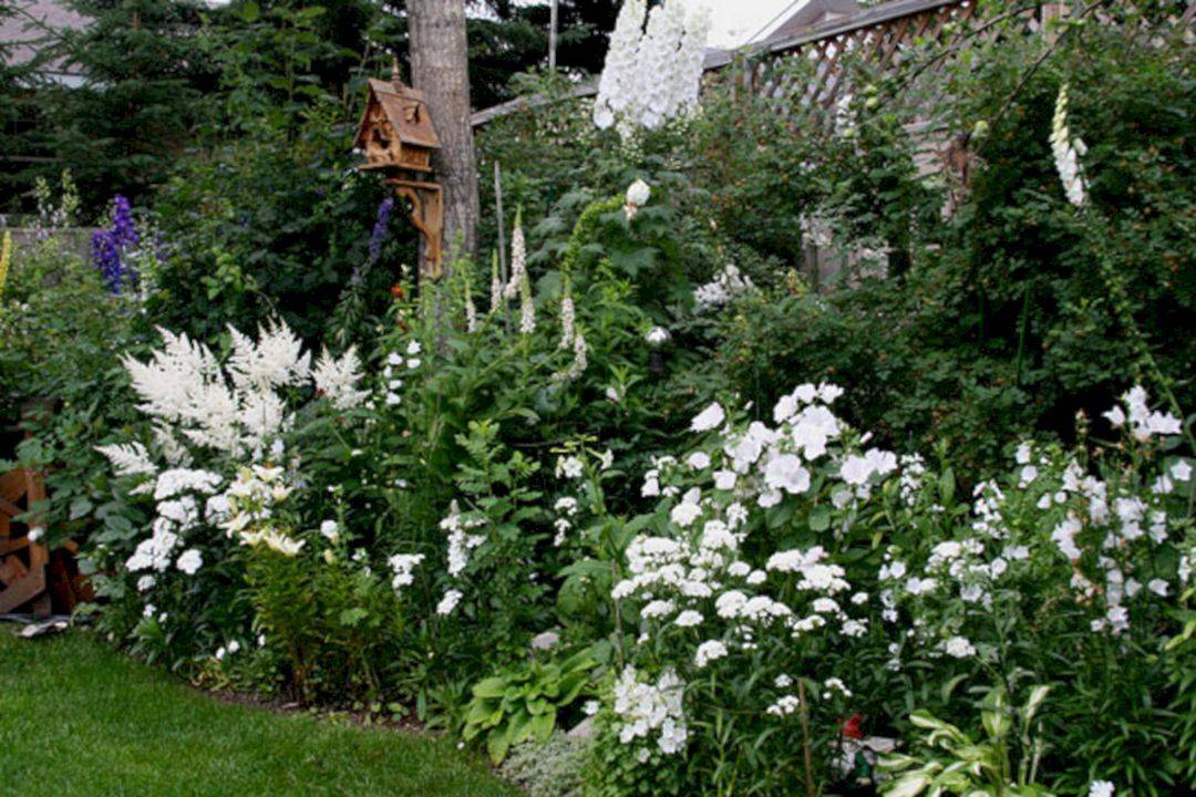 A Magical Moon Garden