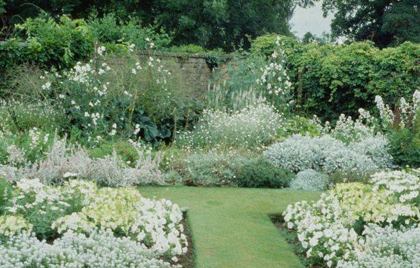 White Blooming Container Gardens