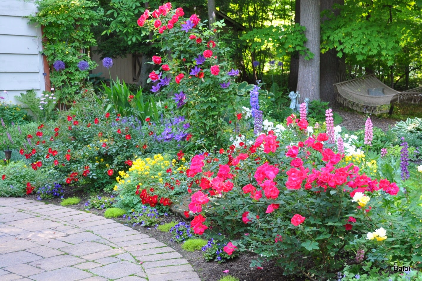 Dreamy Hydrangea Gardens