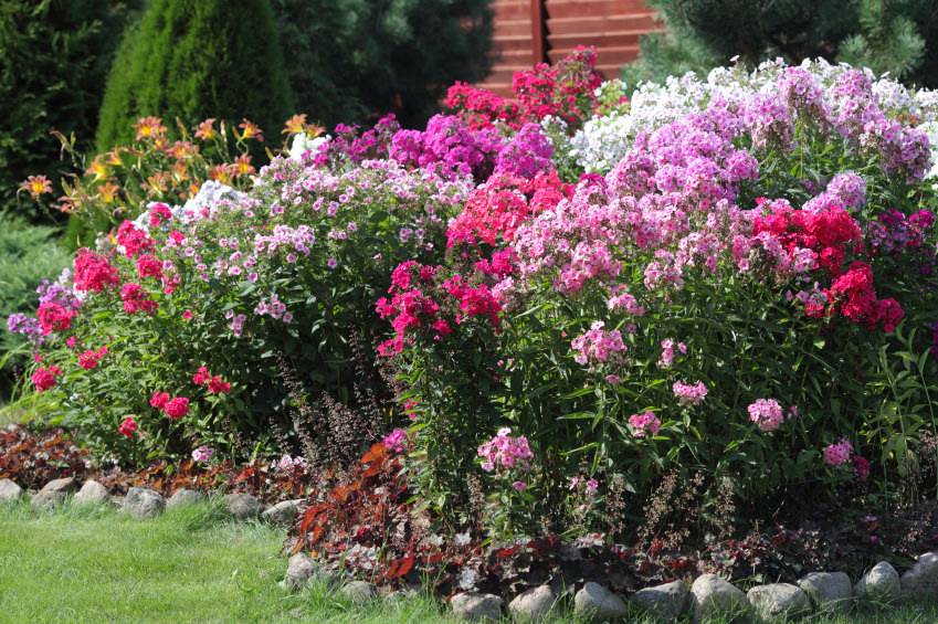 Awesome White Garden Ideas