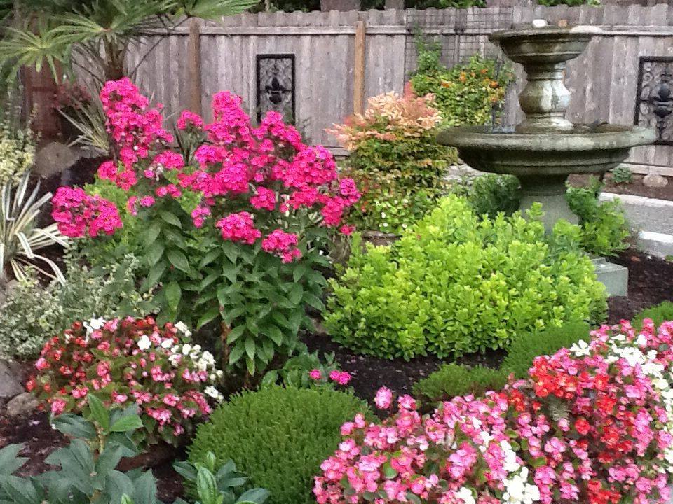 Colorful Garden Ideas