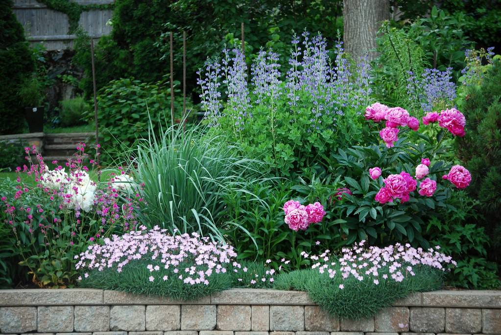 Flowers And Garden Ideas