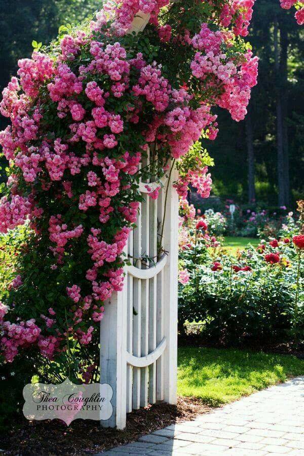 Front Porch Flower Pot Flower Garden Design