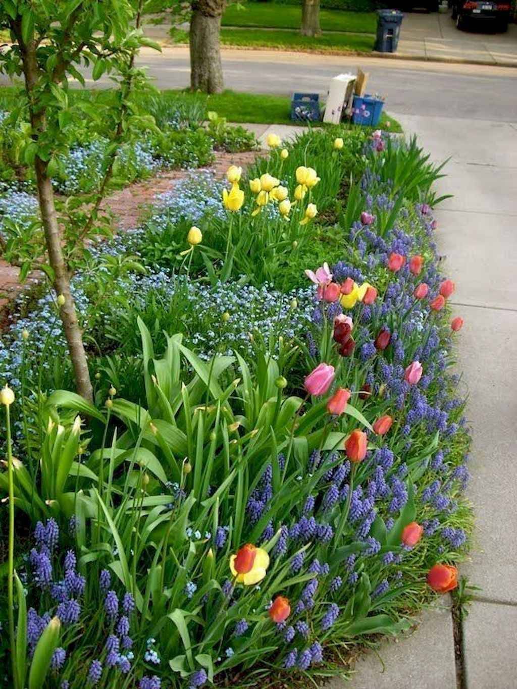 Beautiful Spring Flower Garden Ideas