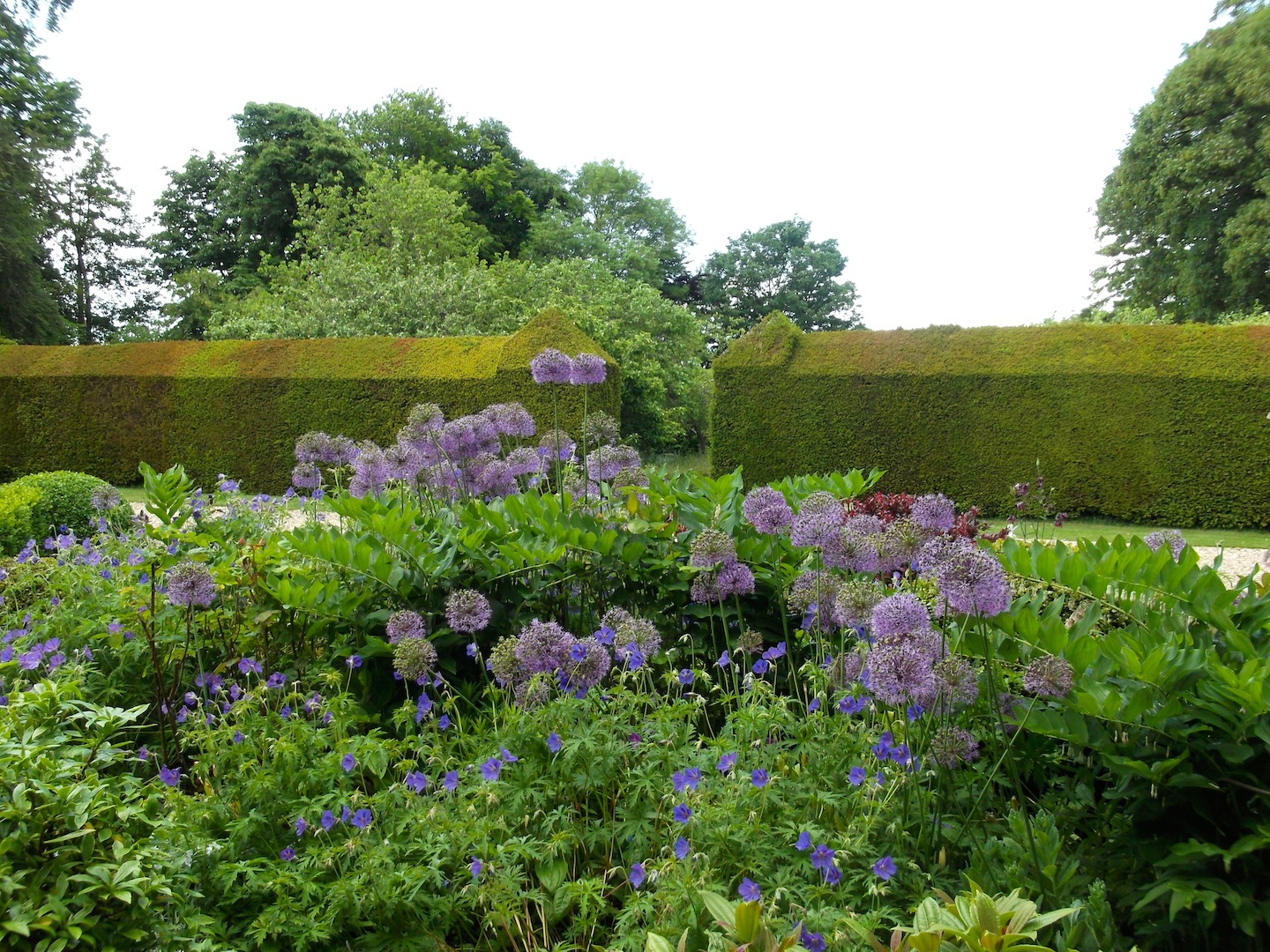 English Garden
