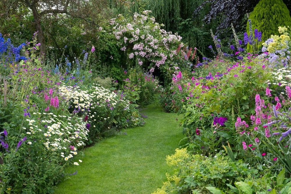 Whiteroseplantinenglishcountrygarden Cottage Garden Design