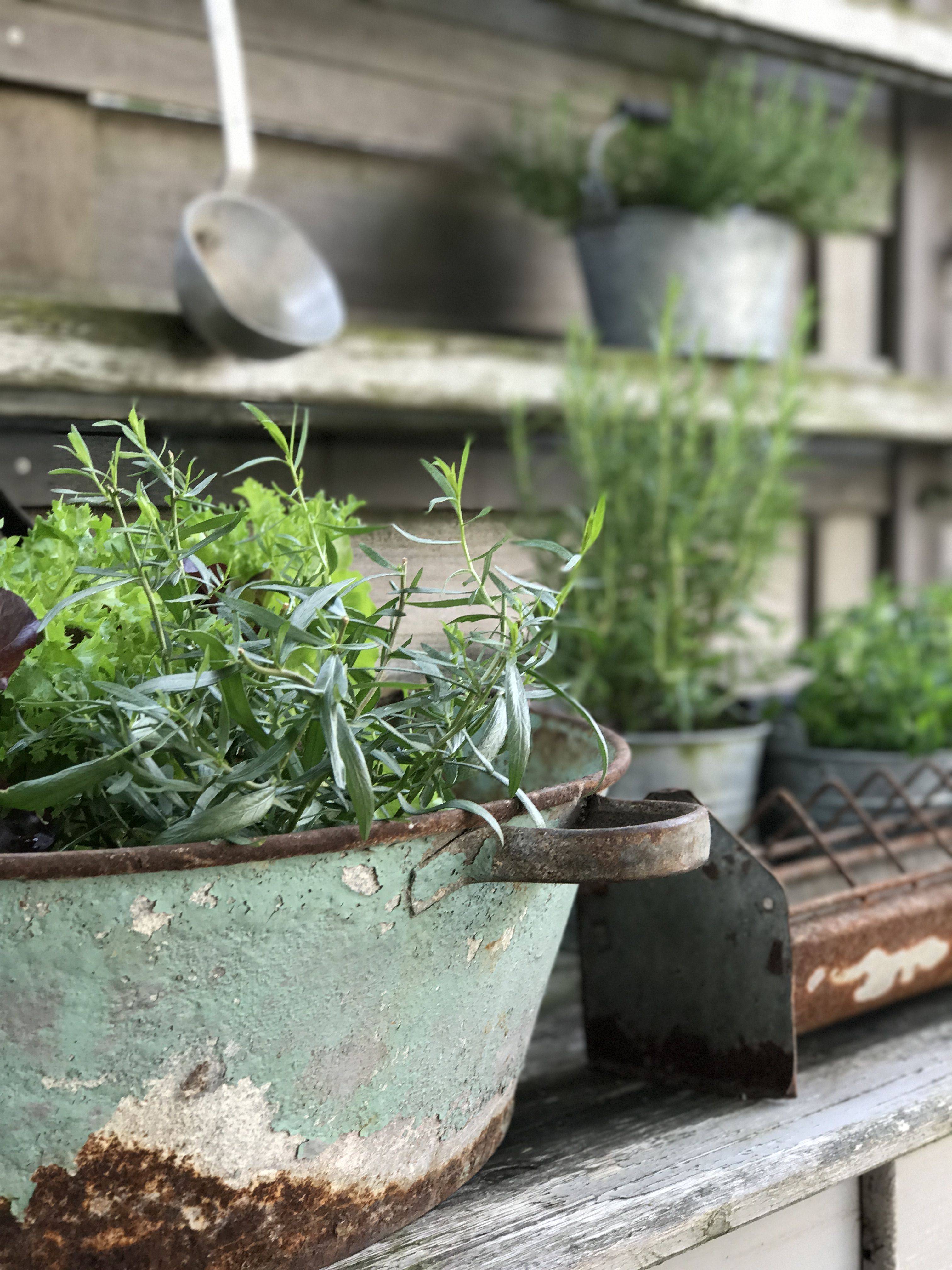 English Country Gardens