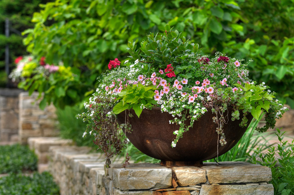Fall Container Gardens