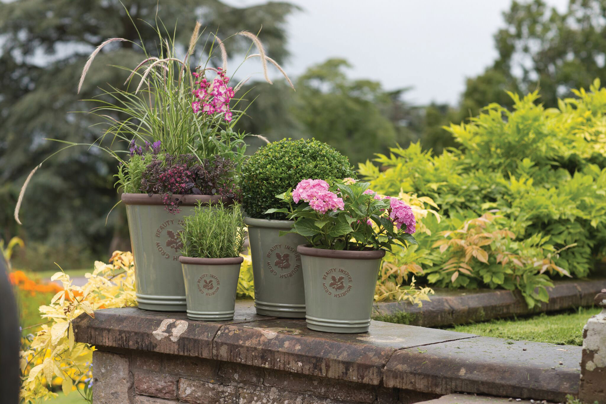 English Garden Container Gardening