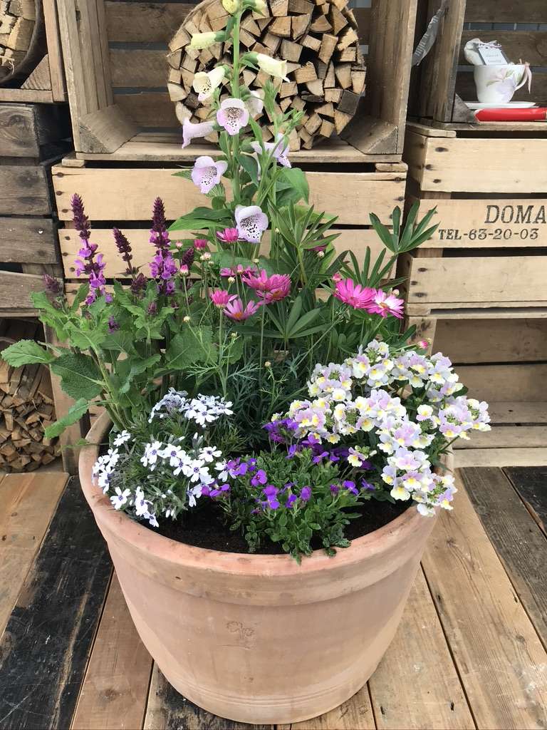 English Cottage Exterior Container Garden Design