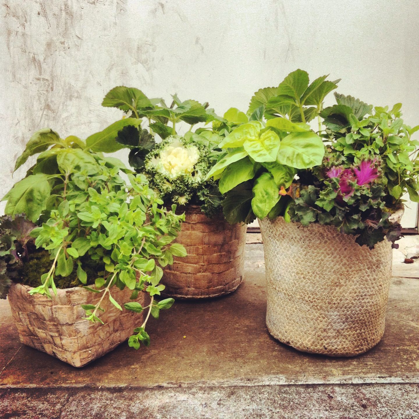 Woodlodge Garden Pots