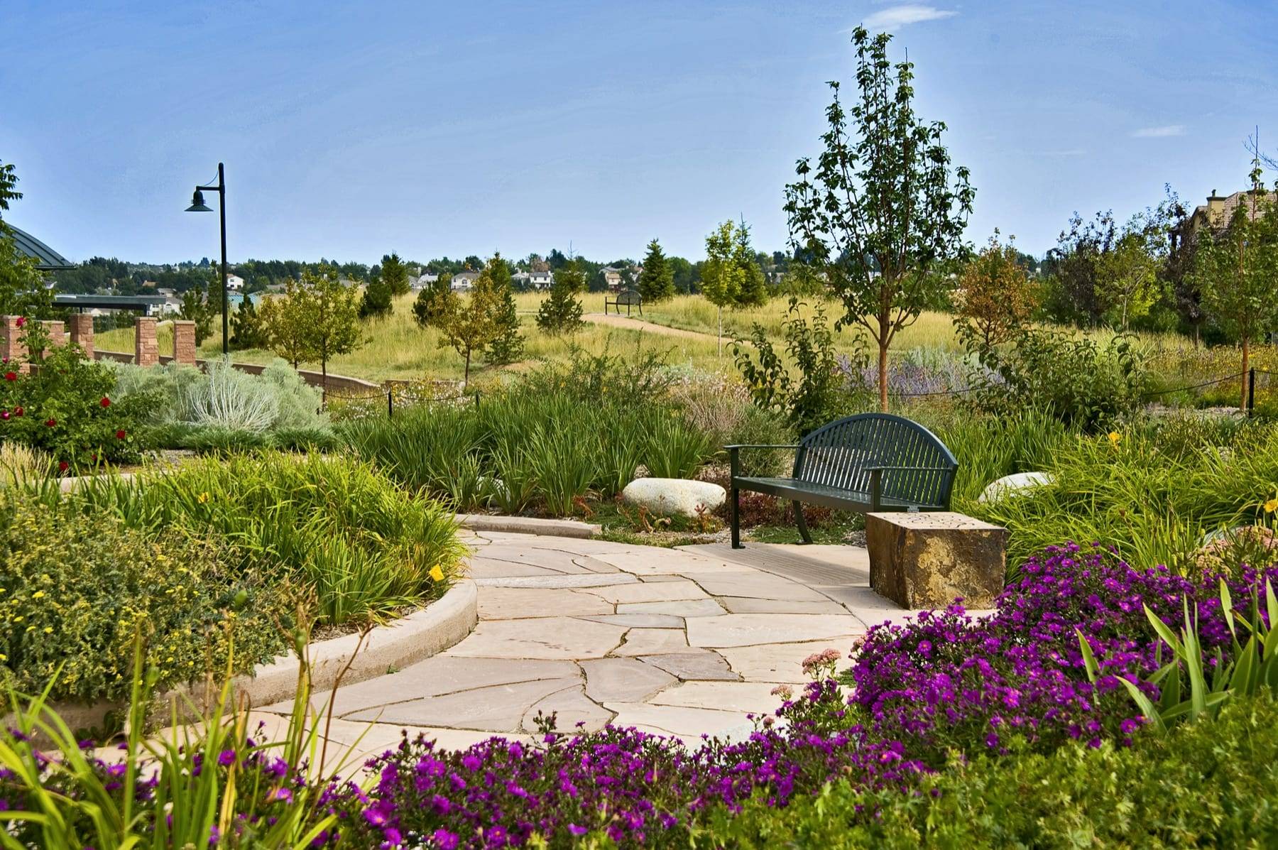 Contemporary And Sustainable Garden Design