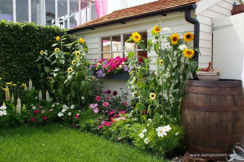 Photography Sustainable Landscaping Landscape Design