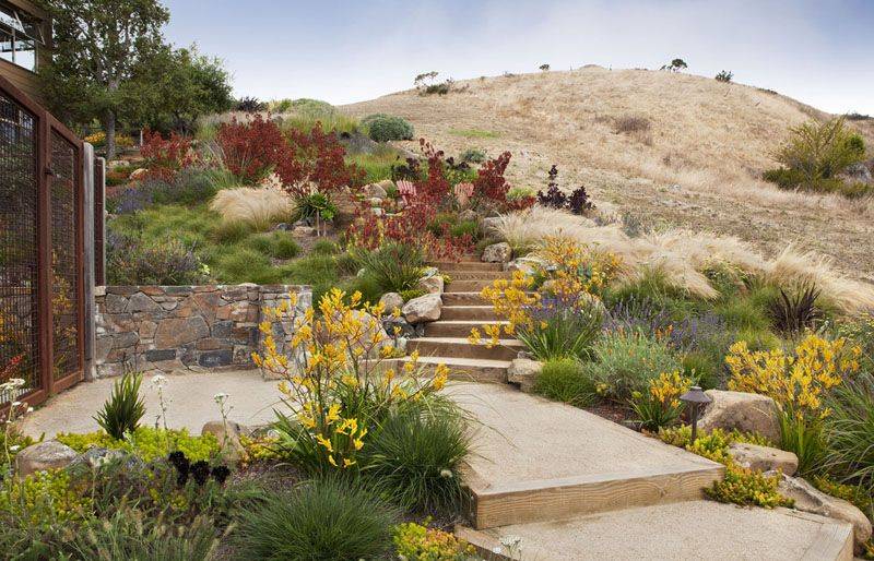 Sustainable Landscape Design