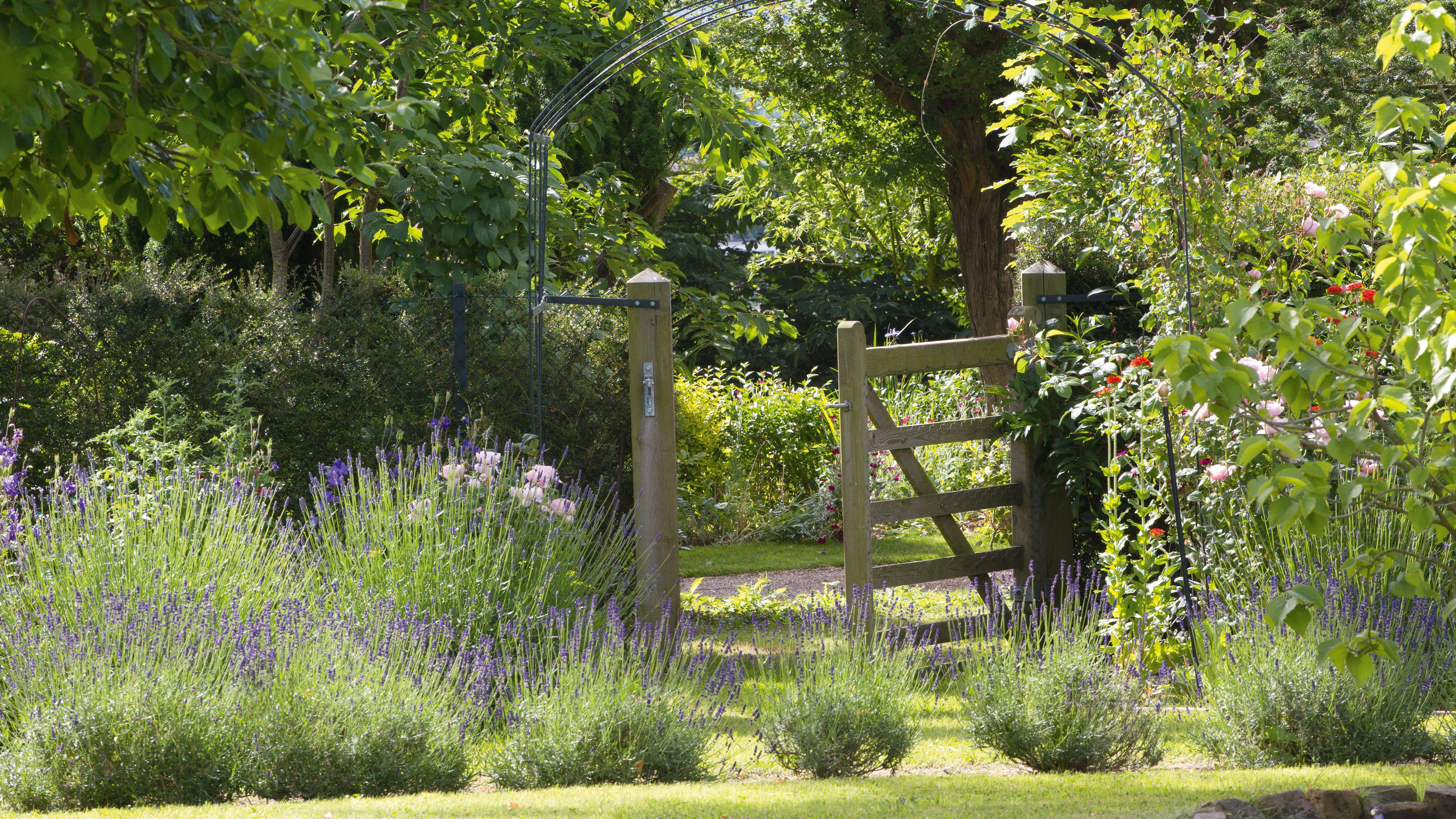 Garden Gate Design