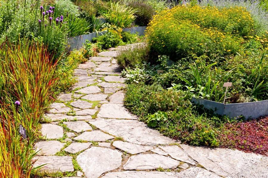Beautiful Diy Garden Walkway Designs