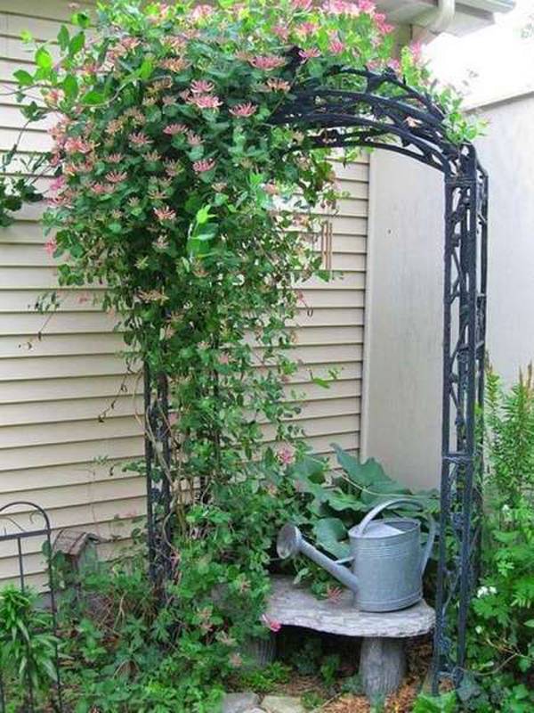 Creative And Unique Small Garden Decor Ideas Simphome Trellis