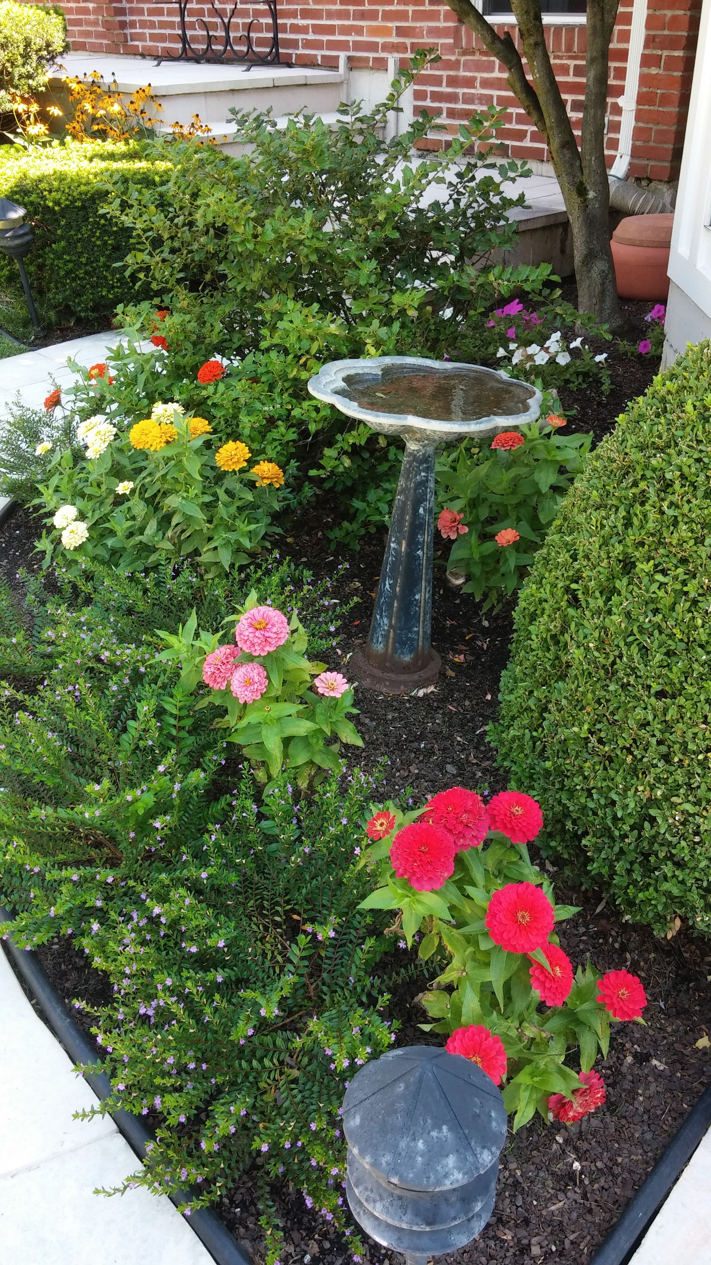Amazing Small Maintenance Backyard Garden Landscaping Ideas