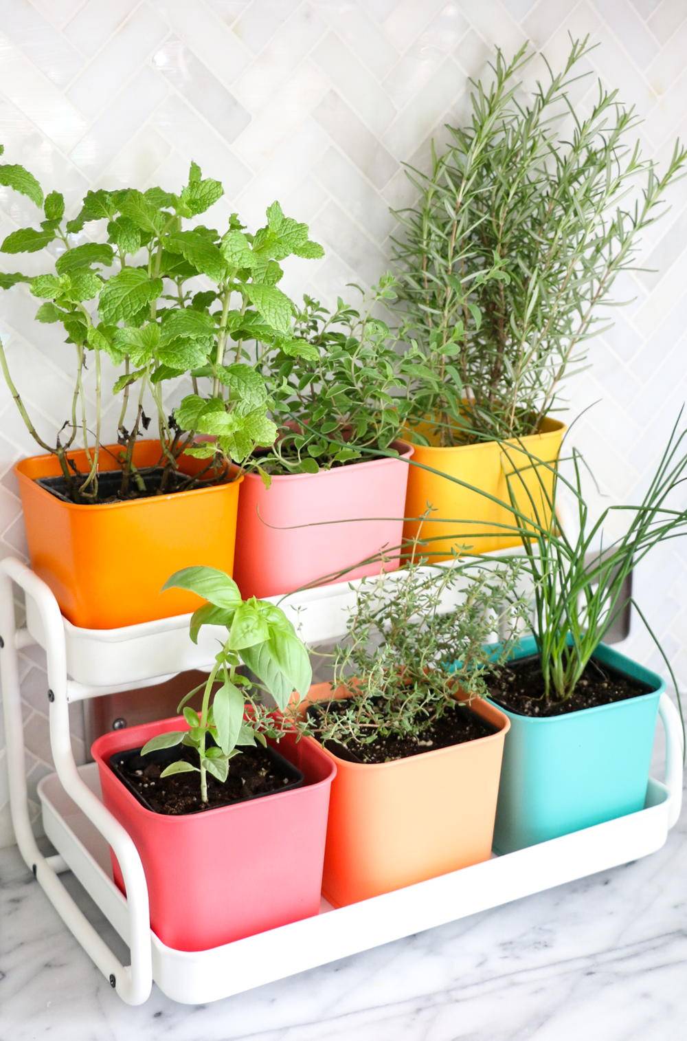 Minute Easy Diy Indoor Herb Planter