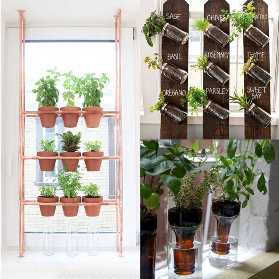 Diy Colorful Indoor Herb Garden