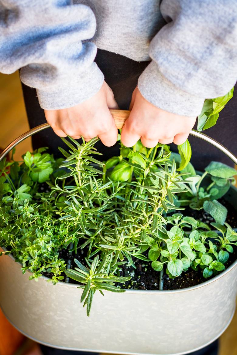 Diy Indoor Herb Planters Homegrown Herb Garden