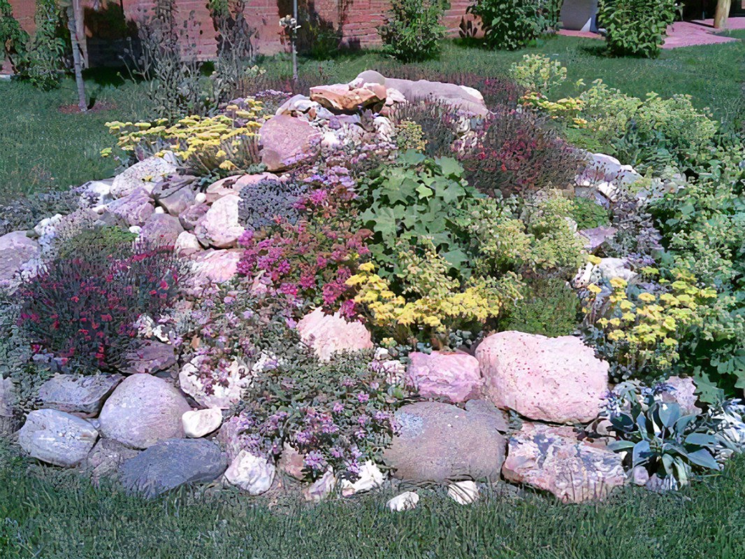 Small Rock Garden Ideas