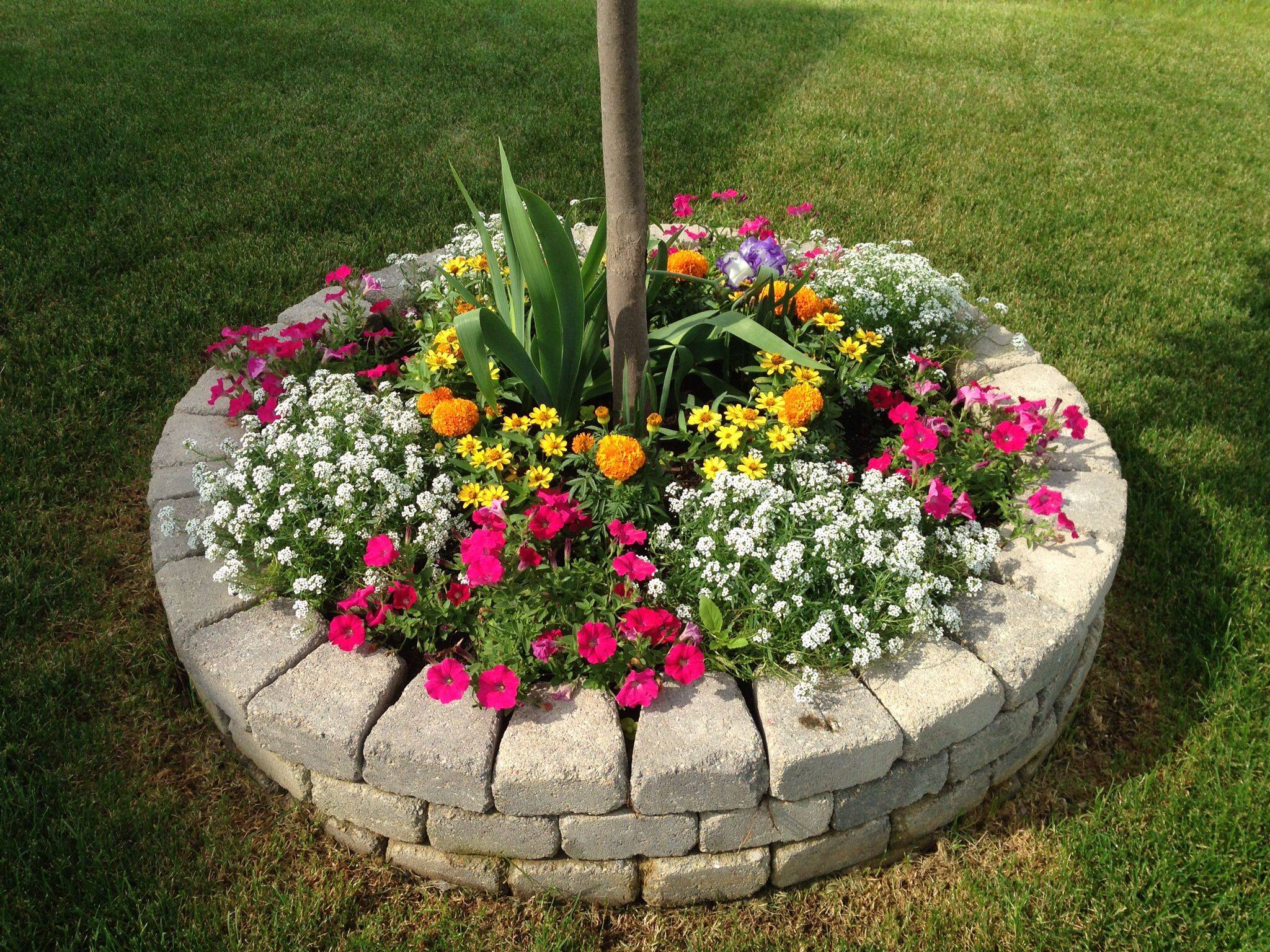 Free Rock Flower Garden Projects